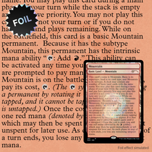 Load image into Gallery viewer, The Full-Text Lands Foil Edition - Secret Lair
